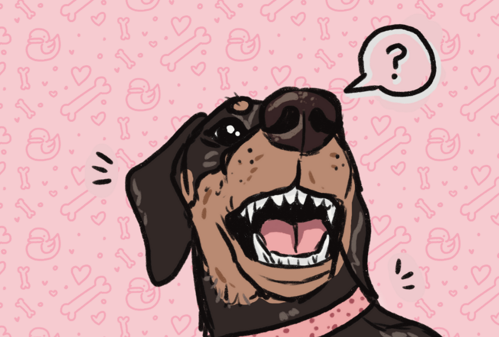 Dlaczego nadal nie rozumiemy naszych&nbsp;psów