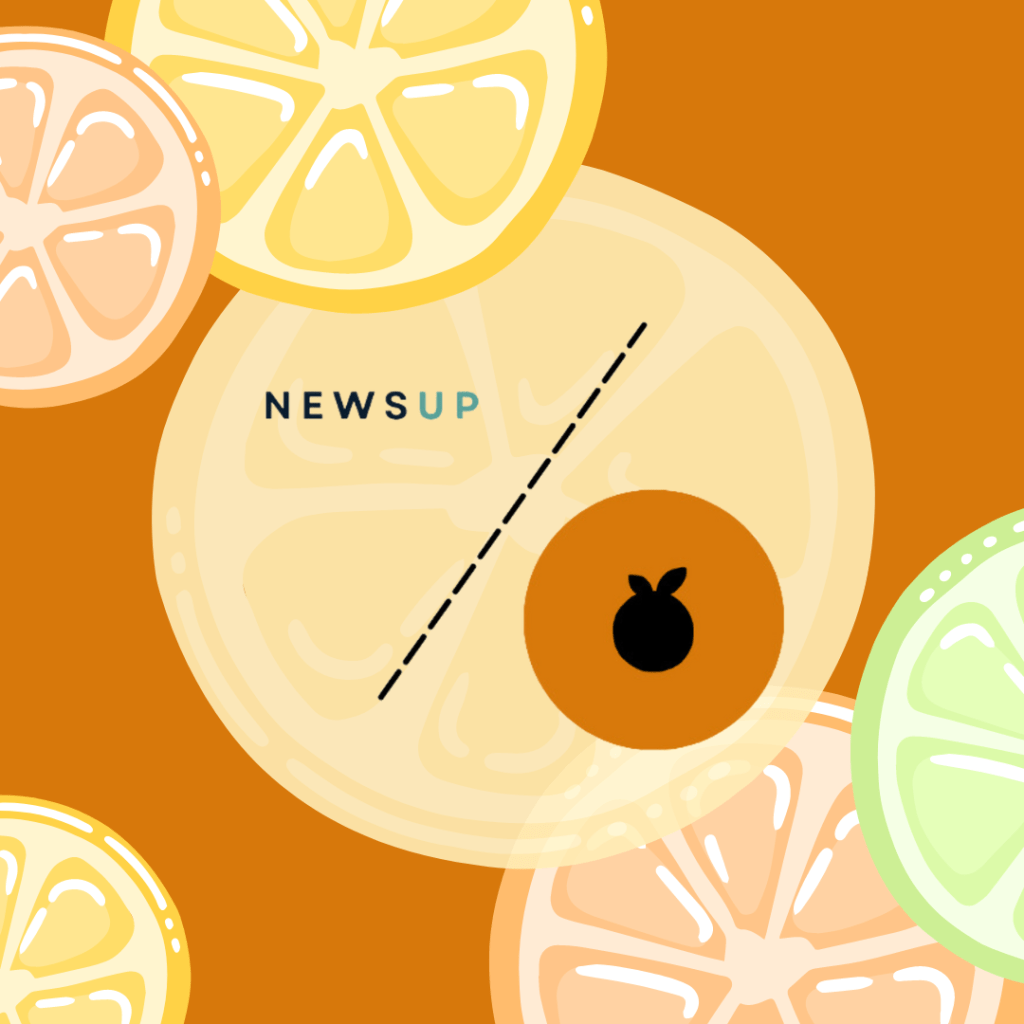 Chwytaj szansę – czyli o Wyciskarce Potencjału x&nbsp;NewsUp