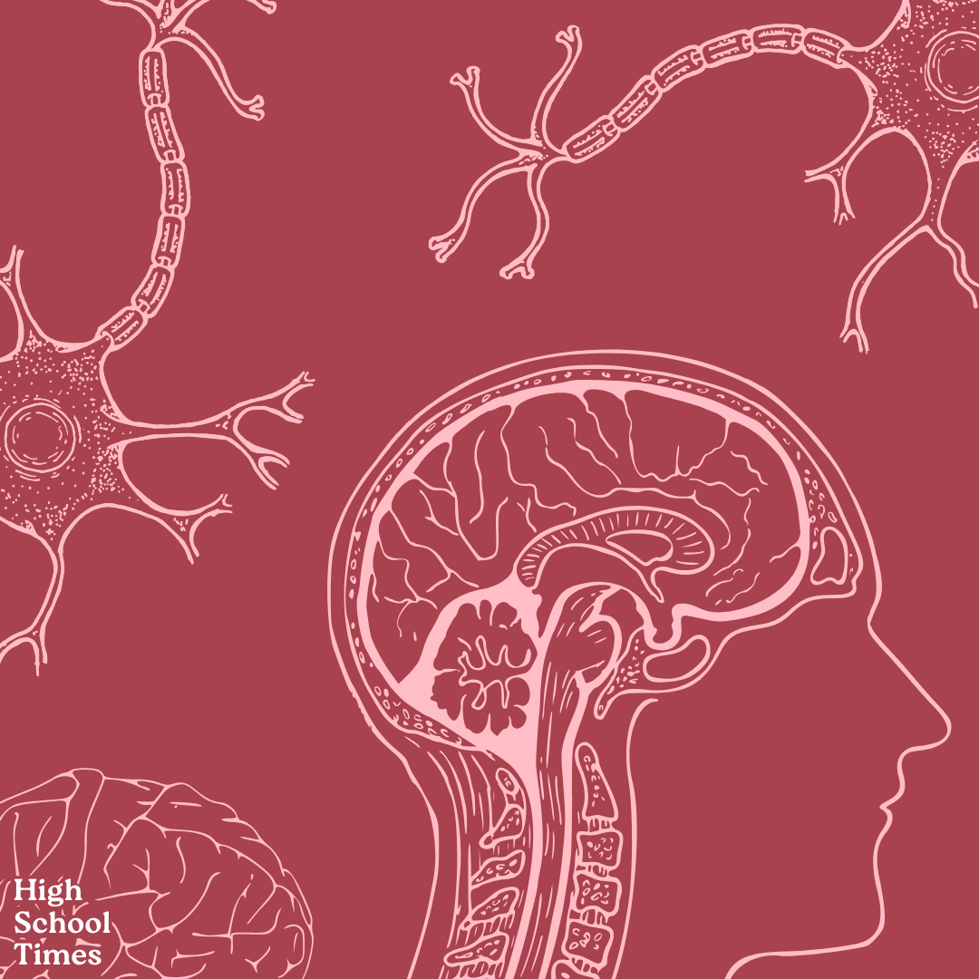 On “brainrot” and how it’s more of a problem than you think